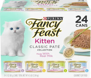 Top 5 Healthiest Kitten Food Top 5 Healthiest Kitten Food