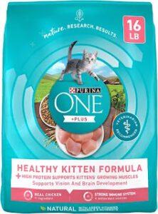 Top 5 Healthiest Kitten Food Top 5 Healthiest Kitten Food