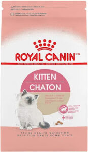 Top 5 Healthiest Kitten Food Top 5 Healthiest Kitten Food
