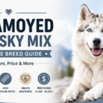 Samoyed Husky A Beautiful and Intelligent Breed for Your Home