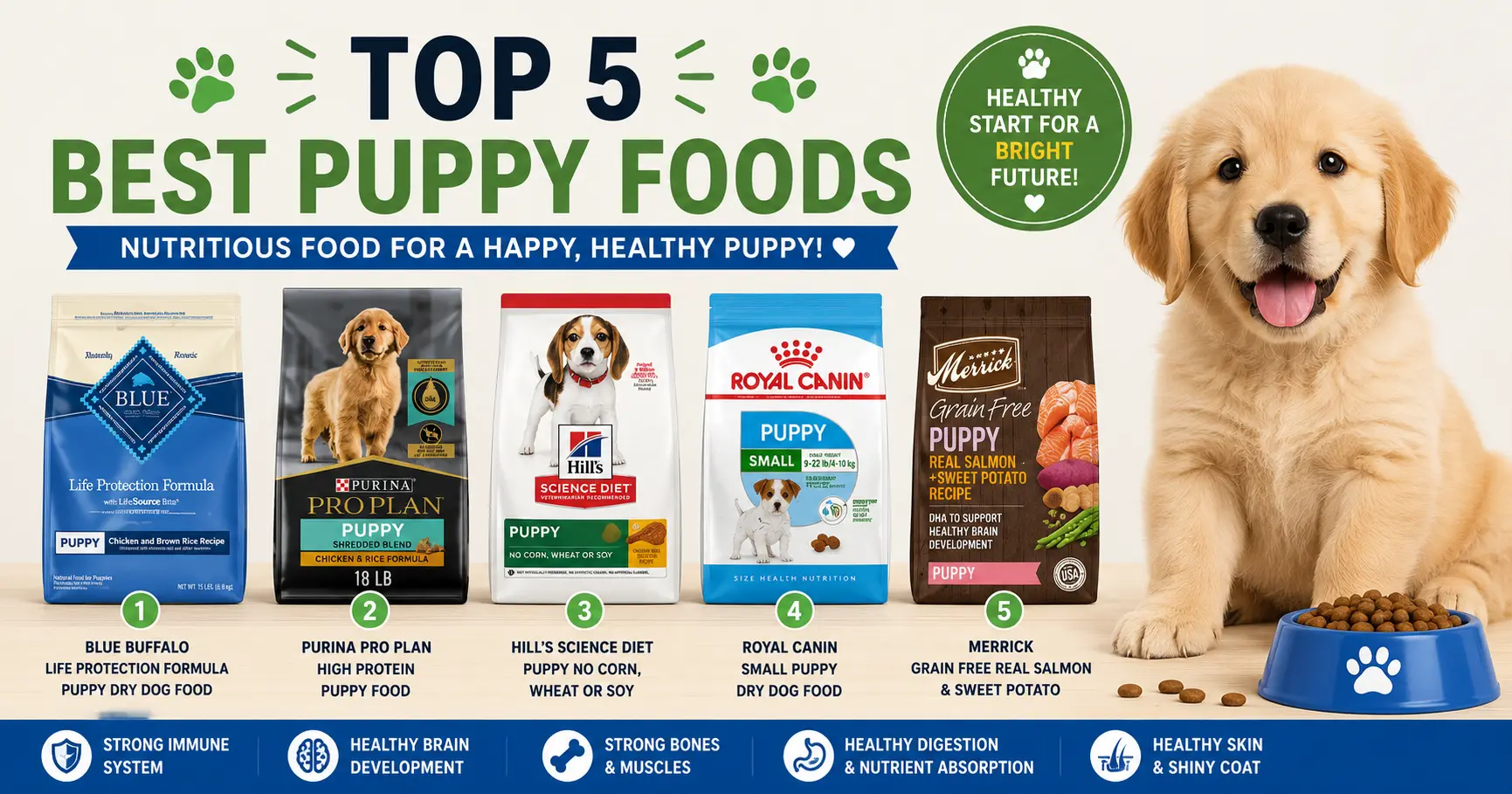 Top 5 Best Puppy Foods for 2023 - Universe For Pets