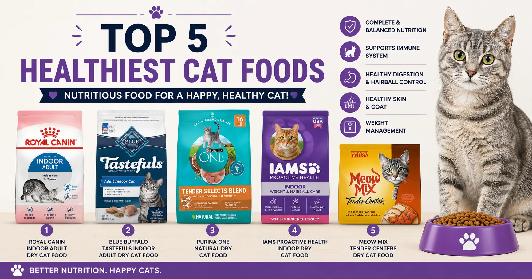 Top 5 Healthiest Cat Foods In 2023 - Universe For Pets