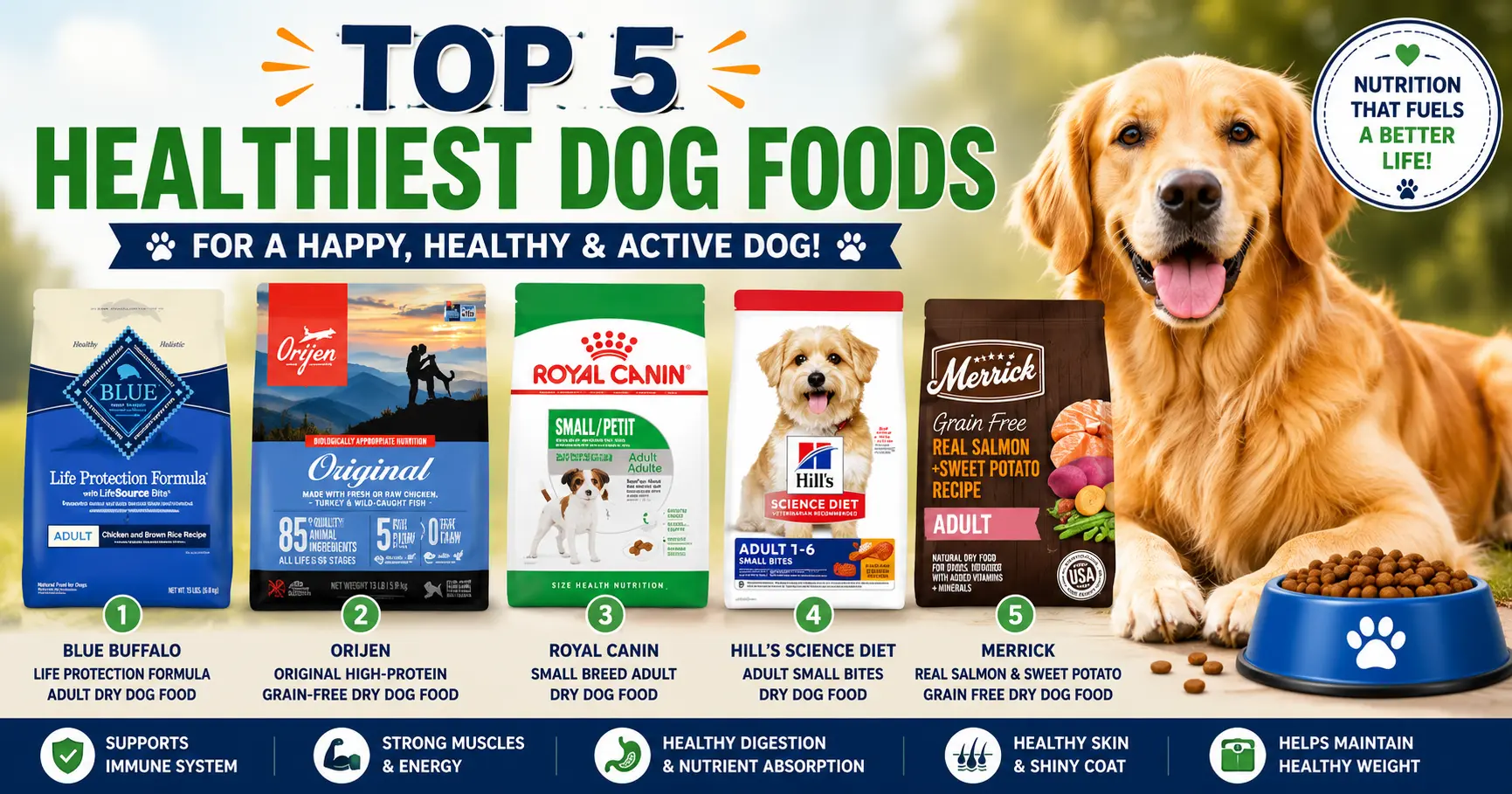 Top 5 Healthiest Dog Foods In 2023 - Universe For Pets