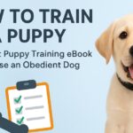 Puppy training eBook cover — step-by-step guide to raising an obedient dog at home