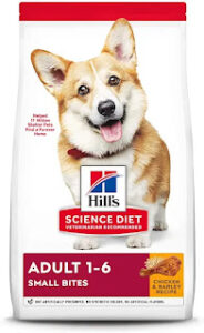 Top 5 Healthiest Dog Foods