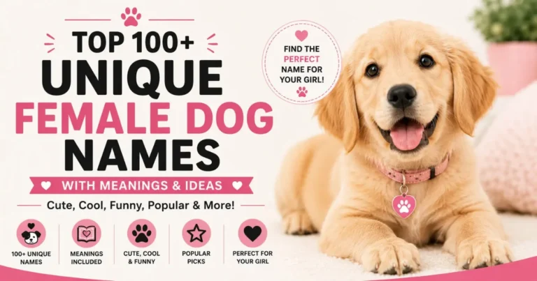 The Best Female Dog Names For 2024 - Universe For Pets