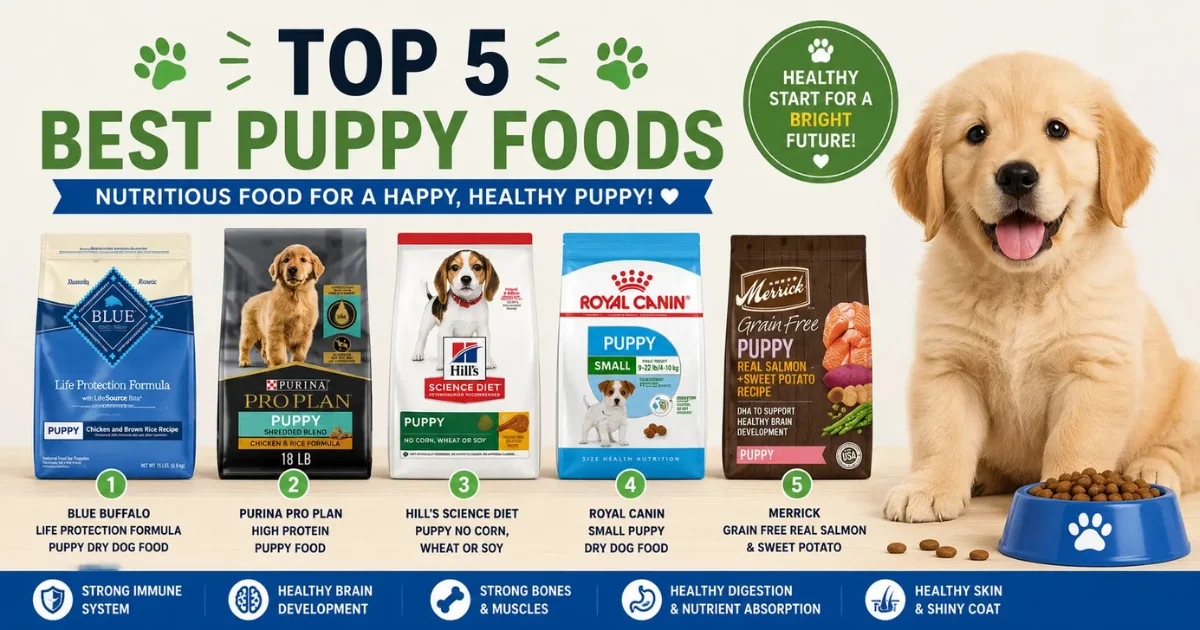 Top 5 Best Puppy Foods for 2023 - Universe For Pets