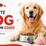 Dog Nutrition Guide
