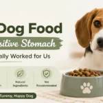 best dog food for sensitive stomach guide