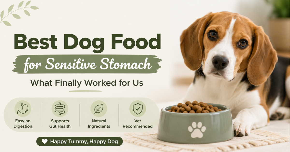 best dog food for sensitive stomach guide