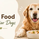 best food for senior dogs feeding guide
